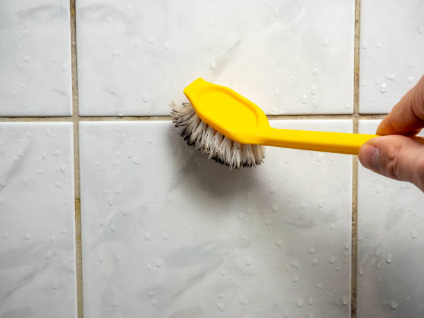 Best Mold Removal Company Near Me  in Fayetteville, GA