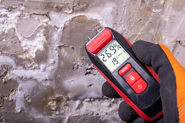 Reliable Fayetteville, GA Mold Removal Solutions
