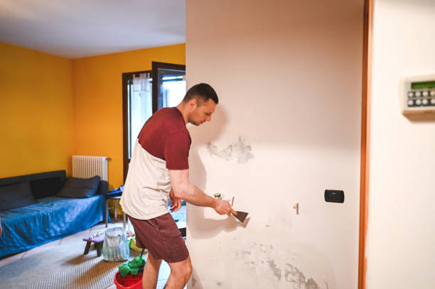 Best Mold Damage Repair  in Fayetteville, GA